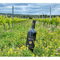 Domaine de la Grange Fonteius 2024 