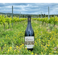 Domaine de la Grange Domitius 2024