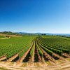 Toscane