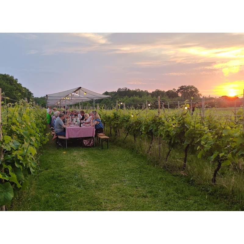 Proefdoos "Italiaanse Avond in de Wijngaard"